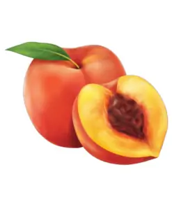 אפרסק ערך תזונתי אפרסק קלוריות