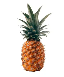 אננס ערך תזונתי