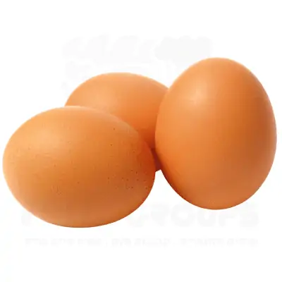 ביצה טריה