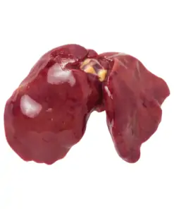 כבד עוף טרי